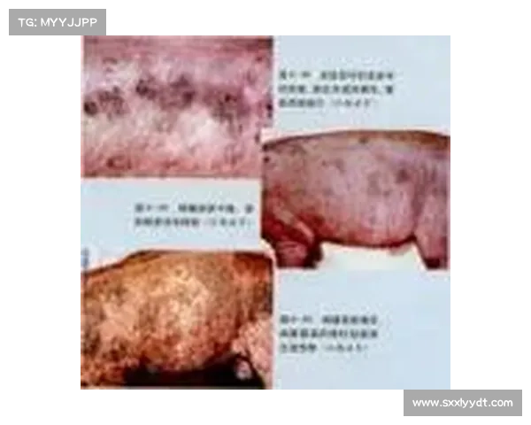 猪皮肤真菌传染病治疗方案解析 猪皮肤真菌传染病治疗方案解析
